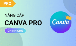 Nâng cấp Canva Pro chính chủ giá rẻ