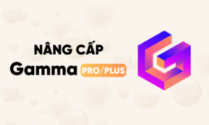Nâng Cấp Gamma Chính Chủ