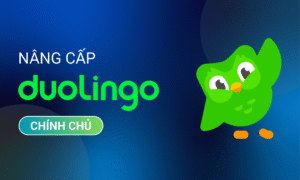 Nâng Cấp Doulingo Chính Chủ