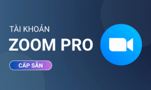 Nâng cấp Zoom Pro chính chủ